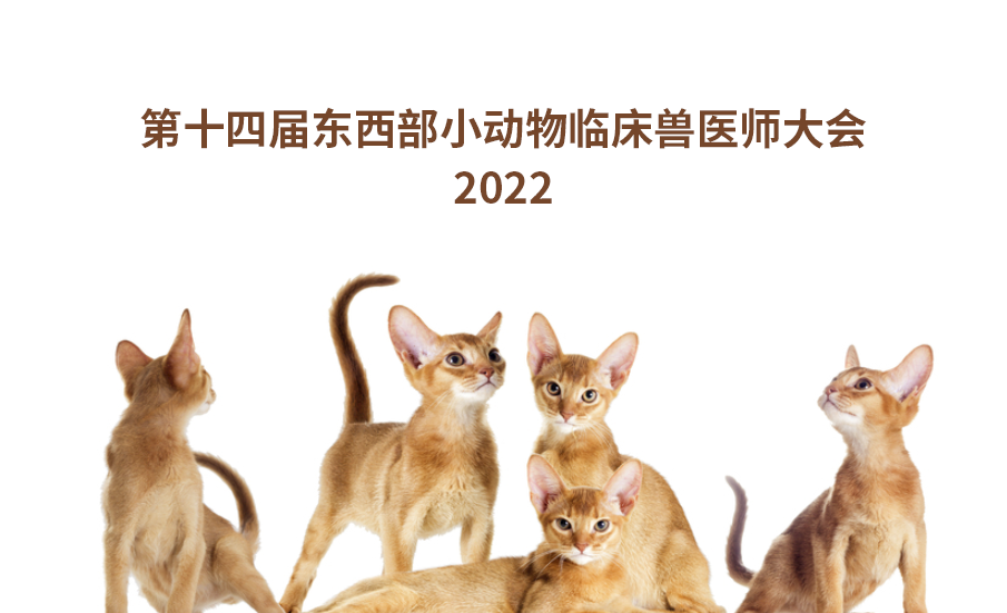2022第十四届东西部小动物临床兽医师大会